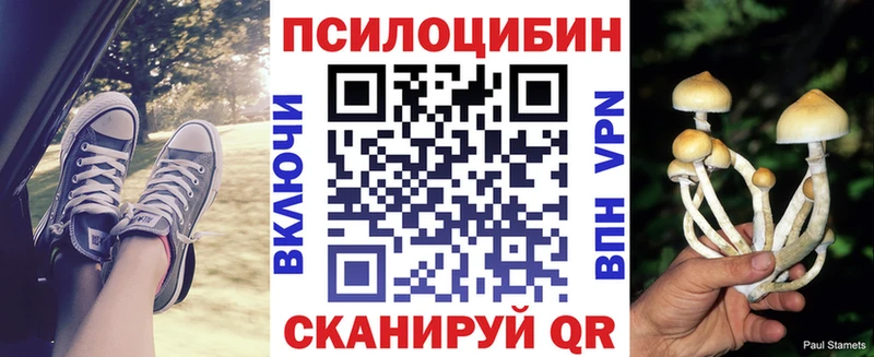 Купить  Орск  Псилоцибиновые грибы Psilocybe 